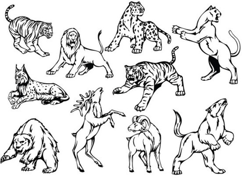 498x368 Line Wild Animal Drawings Free Vector Download - Drawing Images Free Download