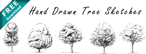 586x220 Pencil Hand Sketched Trees Drawings Set Of As Free Download - Drawing Images Free Download
