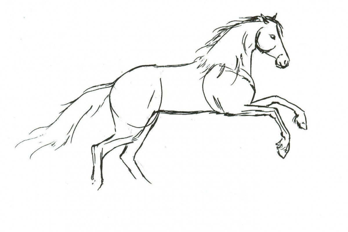 1200x800 How To Draw A Horse How To Draw Horses Horse Drawing - Drawing Images Of Horse