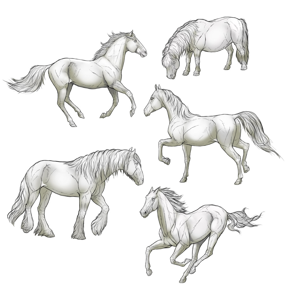 1000x1018 How To Draw Horses Step - Drawing Images Of Horse