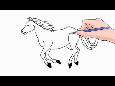 480x360 How To Draw A Horse Easy Step - Drawing Images Of Horse