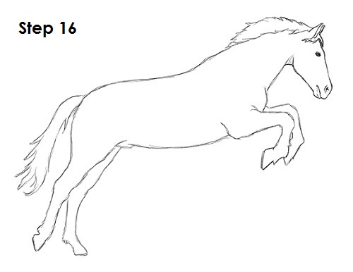 500x386 How To Draw A Horse Jumping - Drawing Images Of Horse