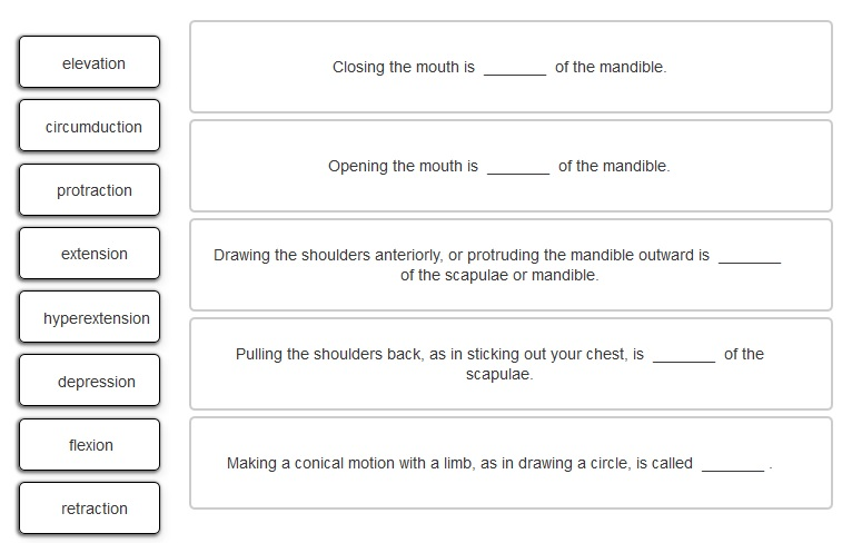 766x488 Solved Place A Single Word Into Each Sentence To Describe - Drawing In A Sentence