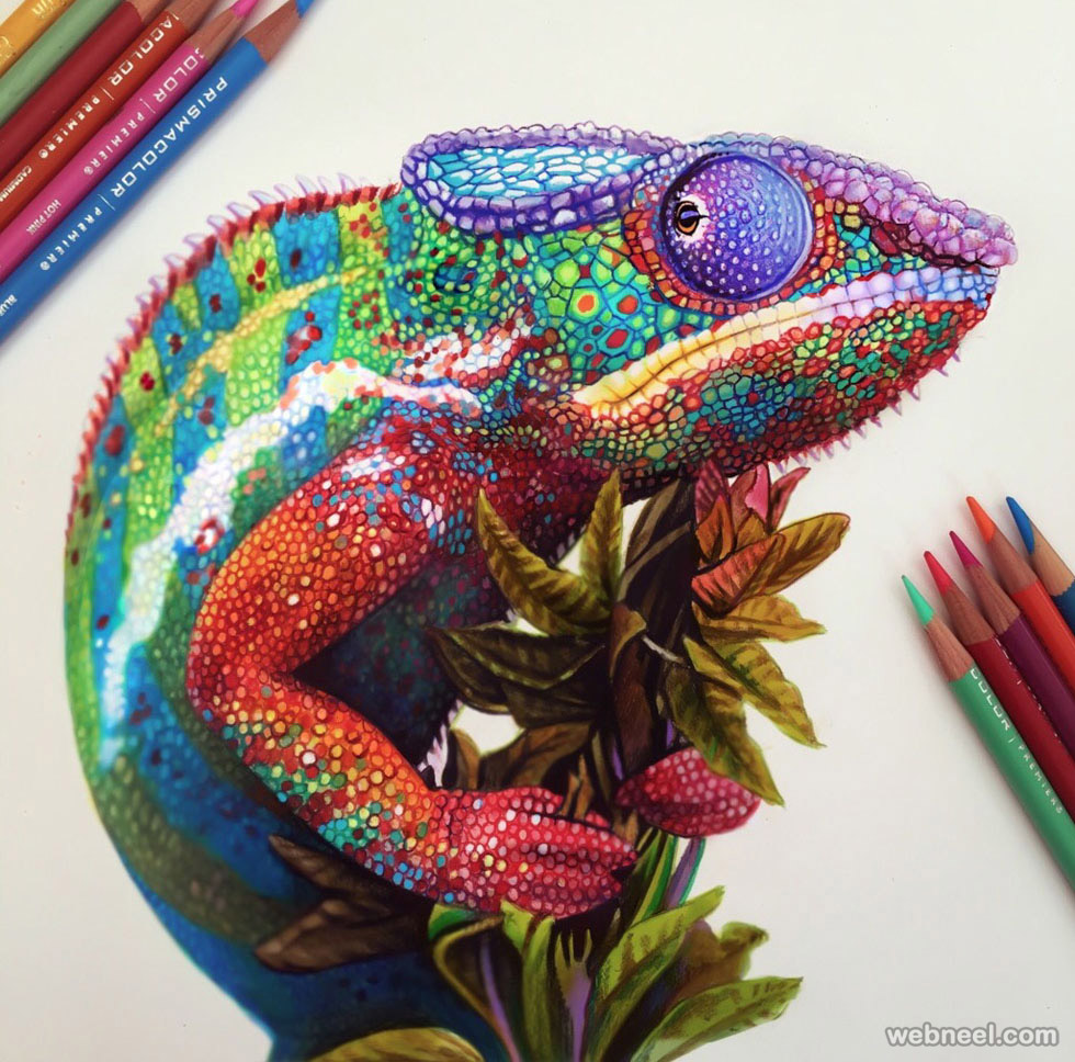 980x968 Beautiful Color Pencil Drawings From Top Artists Around The World - Drawing In Color