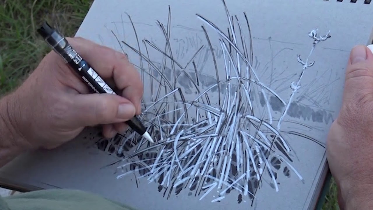 1280x720 drawing inspiration from nature - Drawing Inspiration
