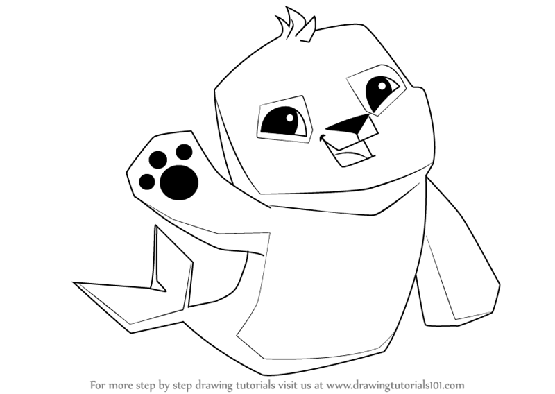 800x568 learn how to draw seal from animal jam - Drawing Jam