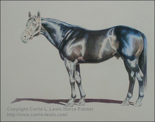 502x398 Umber Under Drawing Tutorial - Drawing L