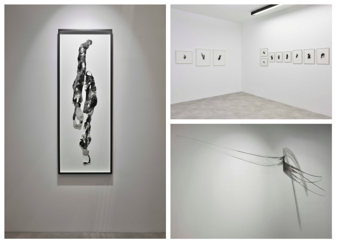 690x500 Expo Ce Qui Me Traverse - Drawing Lab