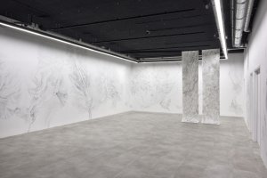 300x200 The Drawing Society - Drawing Lab