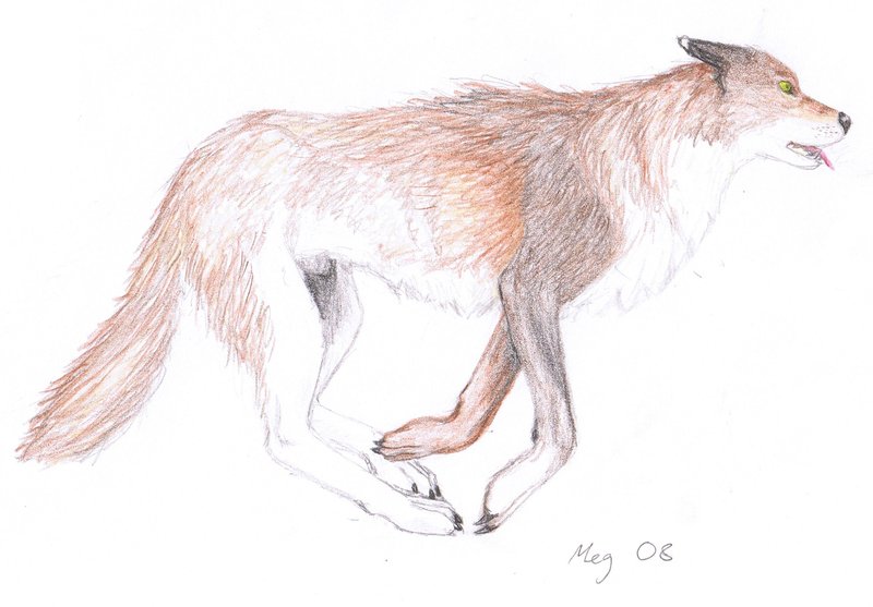 800x557 Simple Art Lessons - Drawing Like A Pro