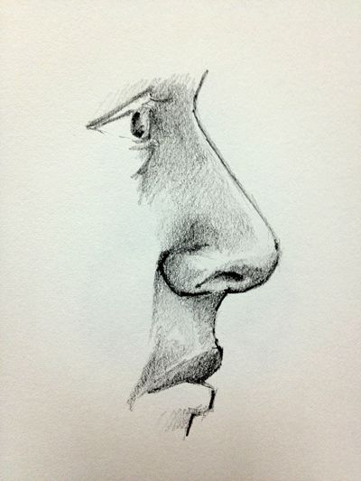 400x533 Nose In Profile Drawing Lots Of Video Tutorials + Lessons, Tips - Drawing Lots