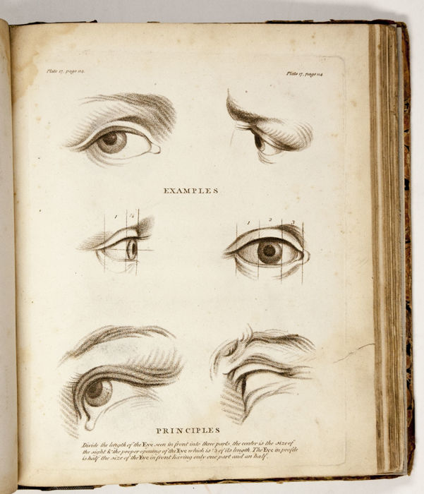 601x700 francis fitzgerald - Drawing Magazine