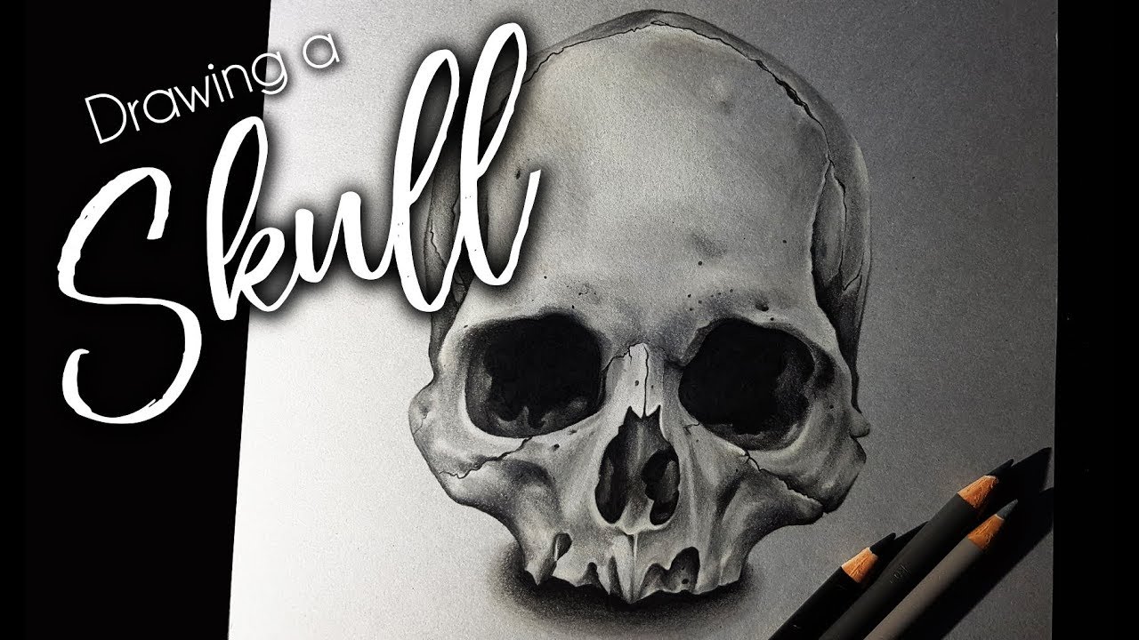 1280x720 Drawing A Realistic Skull + Symbolic Meaning Art Timelapse - Drawing Meaning