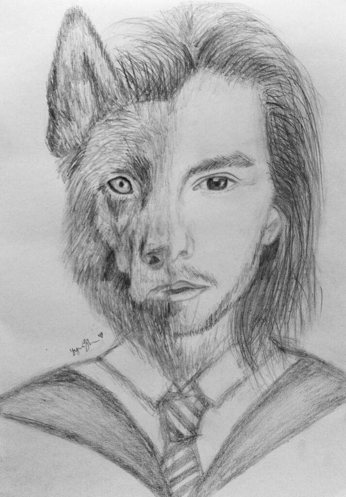 713x1024 Sirius Blackanimagus Drawing + Animagus Meaning Harry Potter Amino - Drawing Meaning