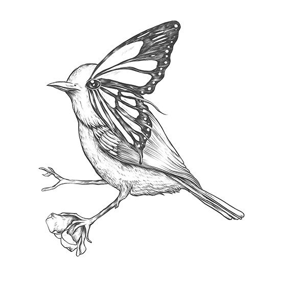 Drawing Media at Explore collection of Drawing Media