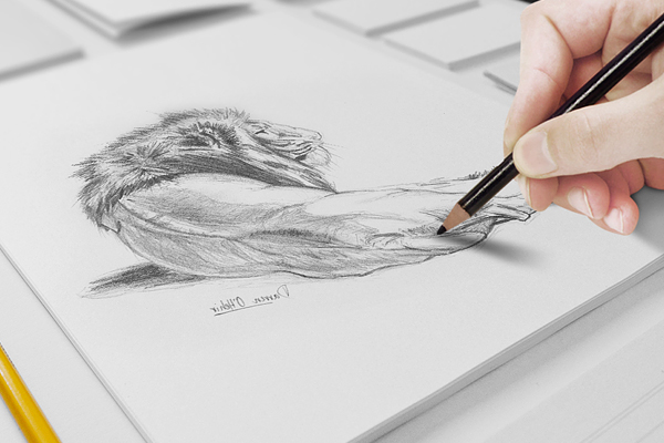 600x400 Sketch Mockup Freebie On Behance - Drawing Mockup Psd