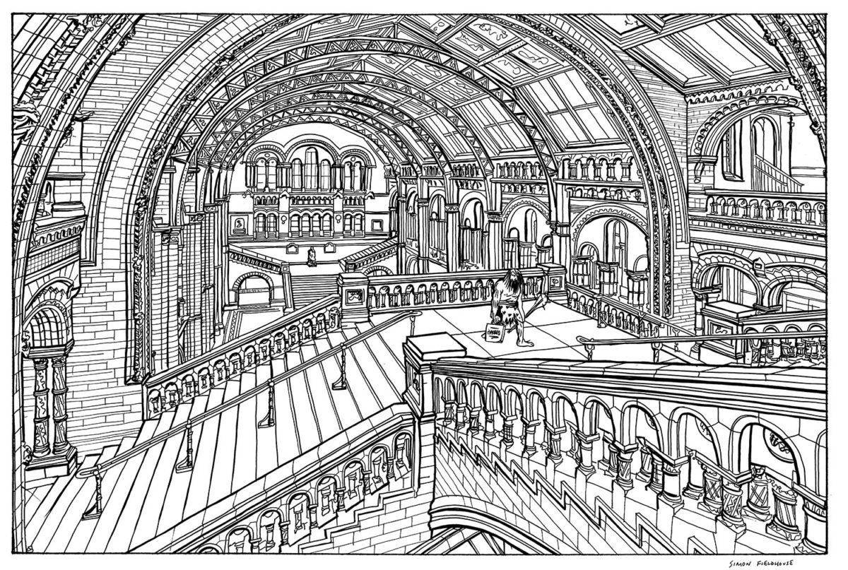 1200x807 natural history museum london - Drawing Museum