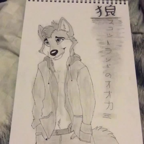 500x500 The Wolf - Drawing Music