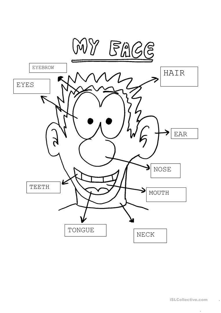 763x1079 My Face Worksheet - Drawing My Face