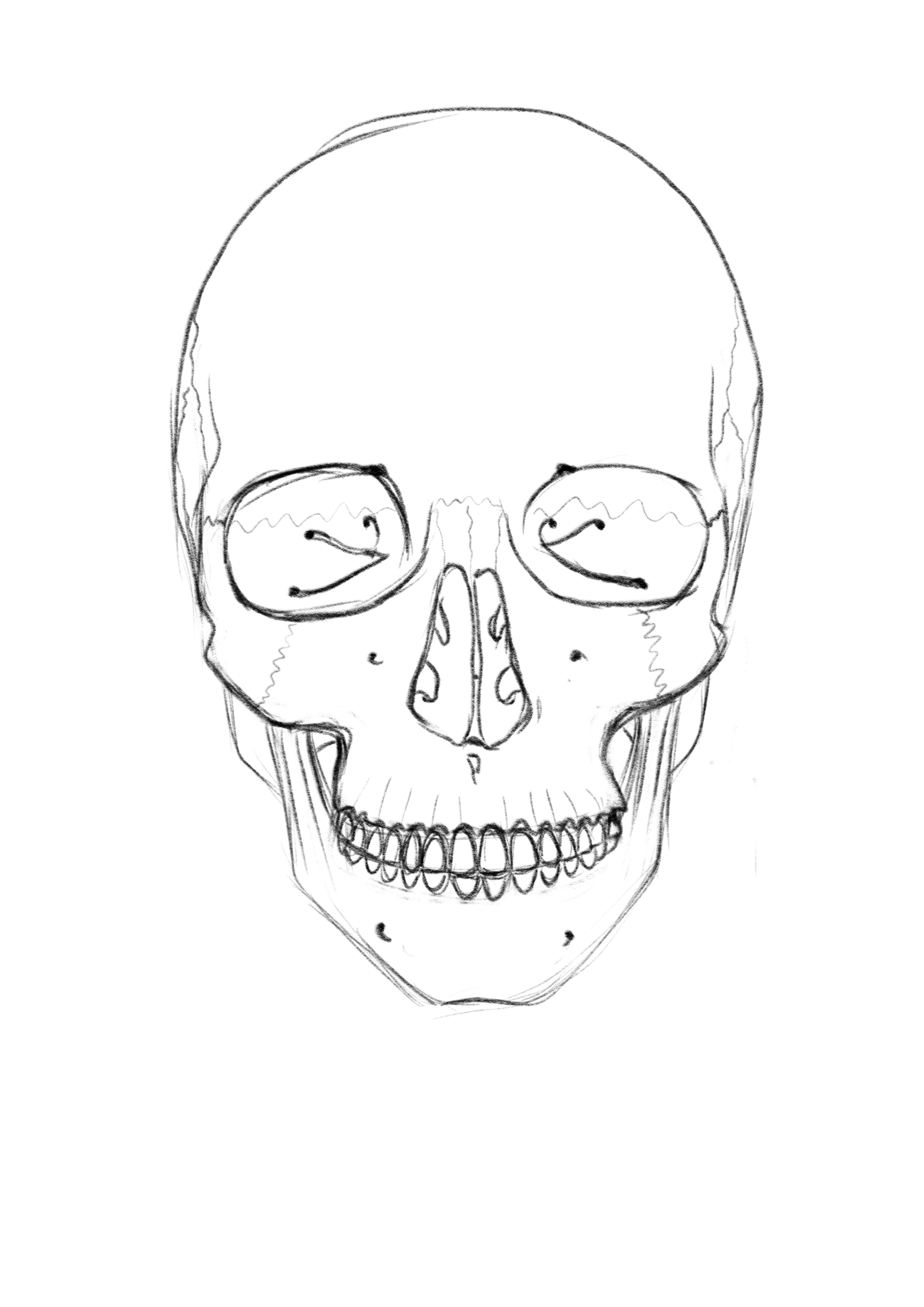 2480x3508 Drawing Anatomy The Hare Sketches - Drawing My Face