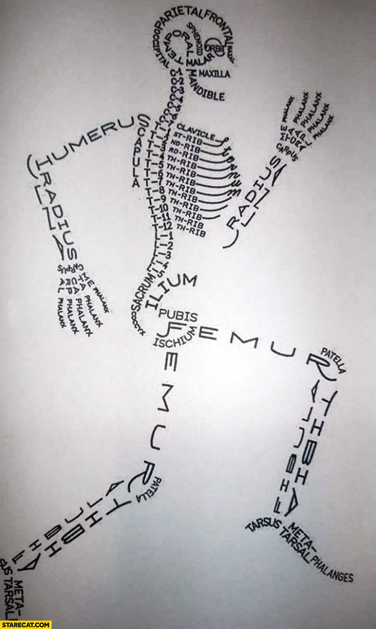 735x1229 Human Bone Names Creative Infographic Drawing - Drawing Names