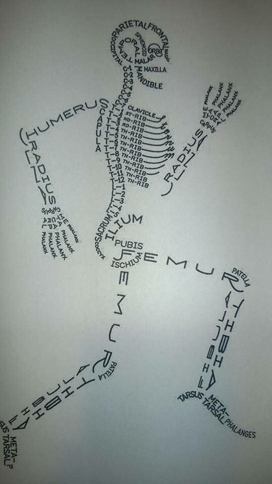 540x960 Skeleton Drawing With All The Names Of The Bones Nerdgasm - Drawing Names