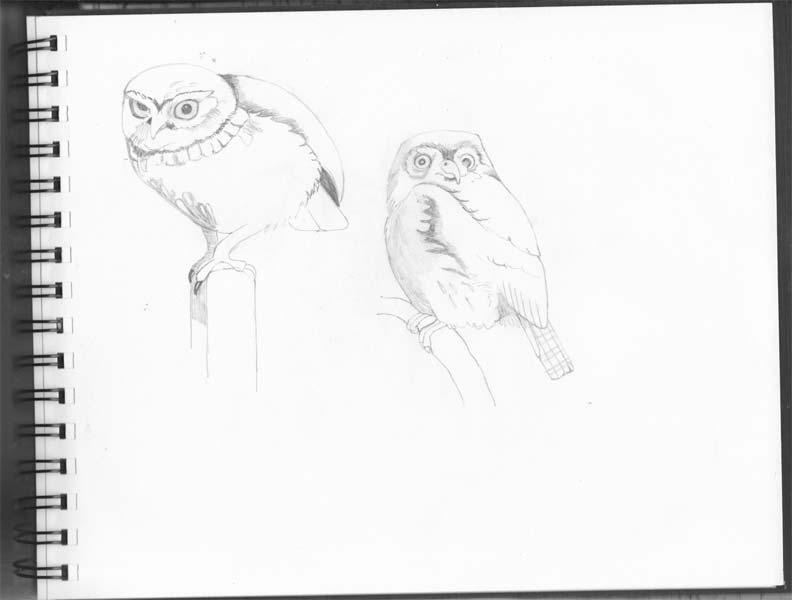 792x600 drawing notebook manufacturer in mumbai maharashtra india - Drawing Notebook