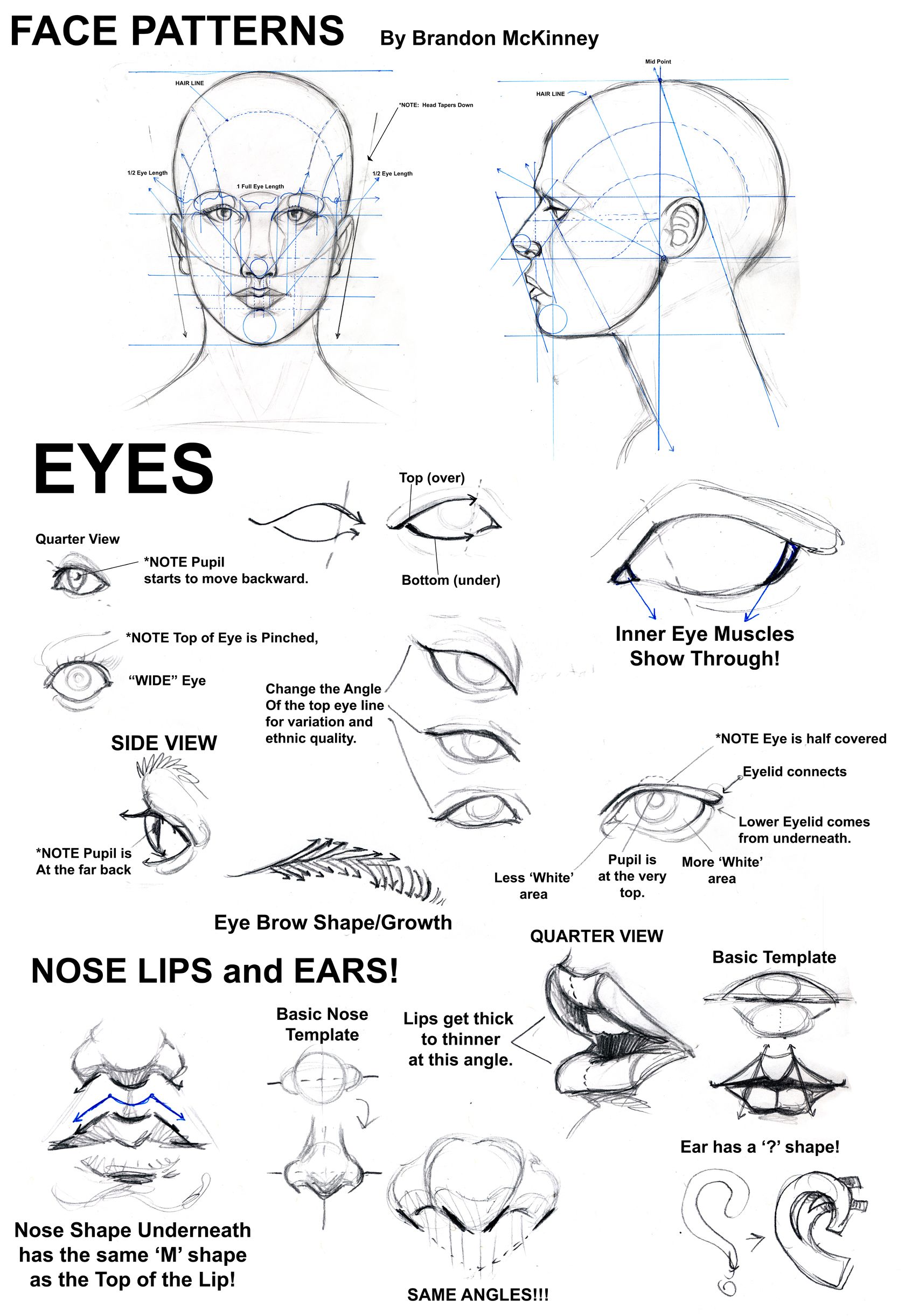 1680x2444 Notes On Drawing The Face, Eyes, Ears, Mouth And Nose How - Drawing Notes
