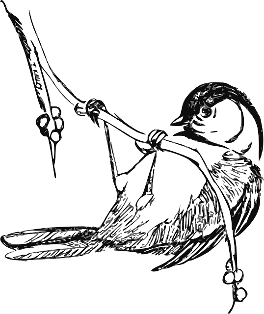 538x640 Collection Of Free Branch Drawing Bird Download On Ui Ex - Drawing Of A Bird On A Branch