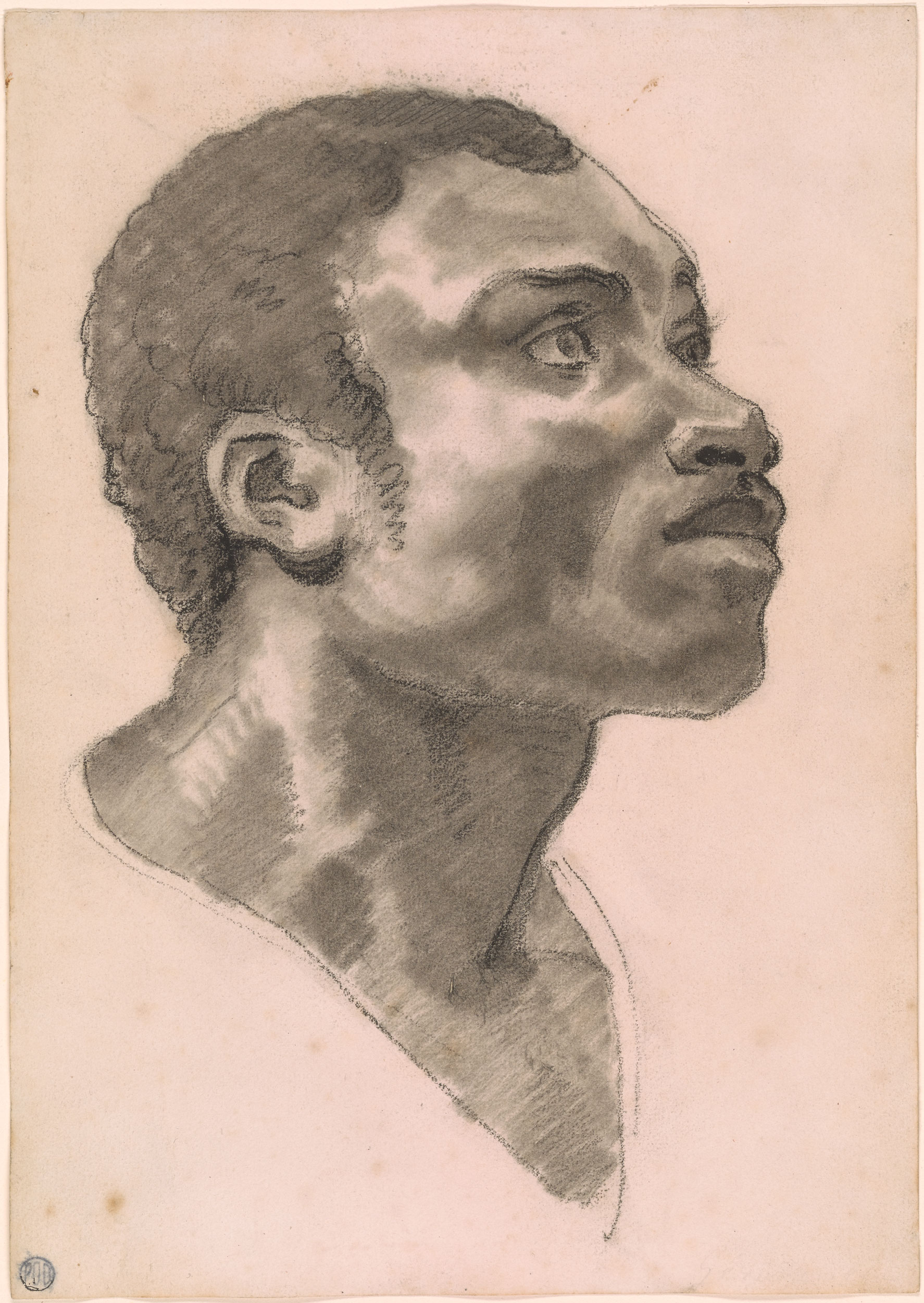 1774x2500 Head Of A Black Man Drawings Online - Drawing Of A Black Man