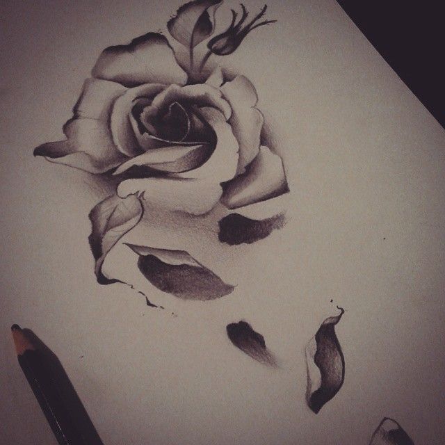 640x640 Dead Flower Tattoo Designs Ideas About Rose Wrist Tattoos - Drawing Of A Dying Rose