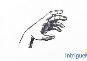 300x210 How To Draw A Hand Reaching For Something Proportions - Drawing Of A Hand Reaching Out