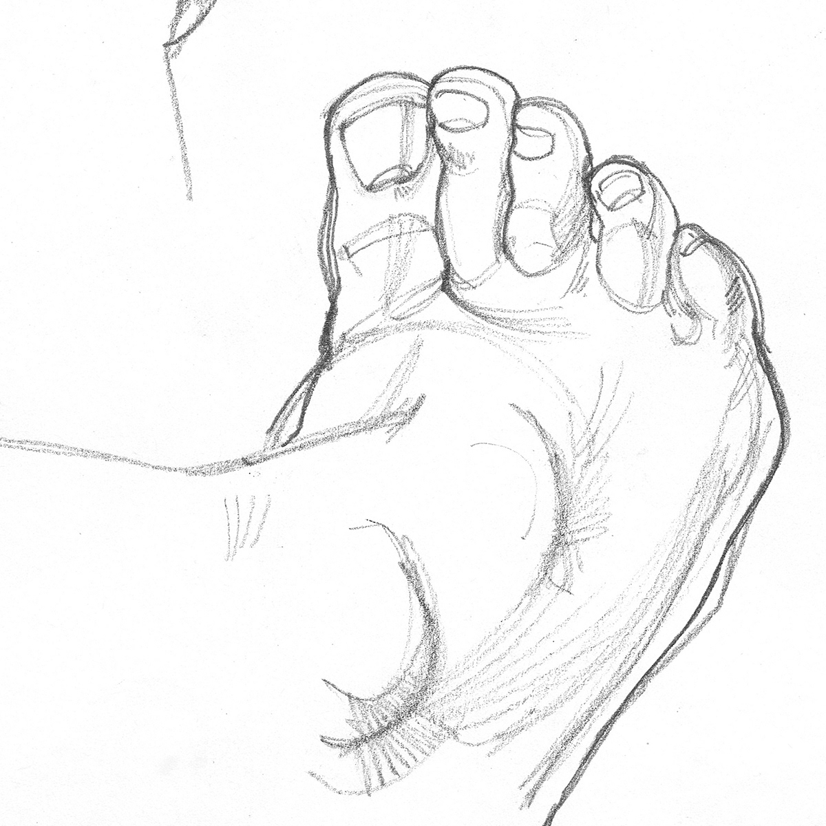 1200x1200 Old Student Drawings Of My Feet Using A Mirror On Behance - Drawing Of A Mirror
