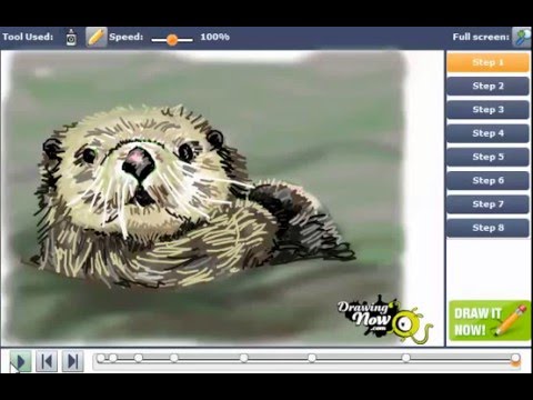 480x360 How To Draw Sea Otters - Drawing Of A Sea Otter