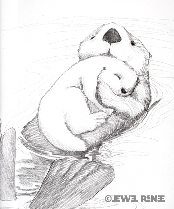 565x678 Jewel Renee Illustration Sea Otter Drawing Mama And Pup - Drawing Of A Sea Otter