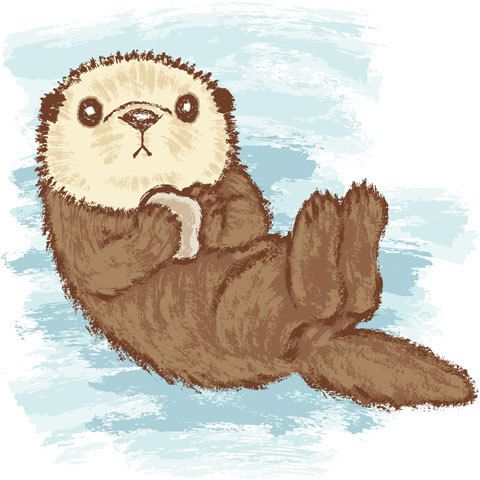 480x480 Sea Otter' - Drawing Of A Sea Otter