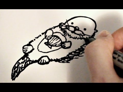 480x360 How To Draw A Cartoon Sea Otter - Drawing Of A Sea Otter