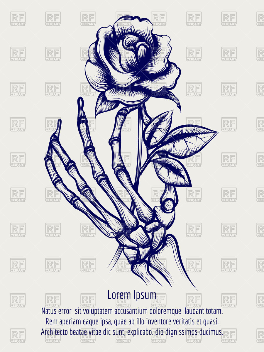 900x1200 Hand Drawn Sketch Of Skeleton Hand With Rose Vector Image - Drawing Of A Skeleton Hand