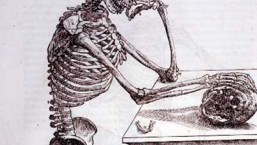 530x300 Magical Stones And Imperial Bones Harvard University - Drawing Of A Skeleton Hand
