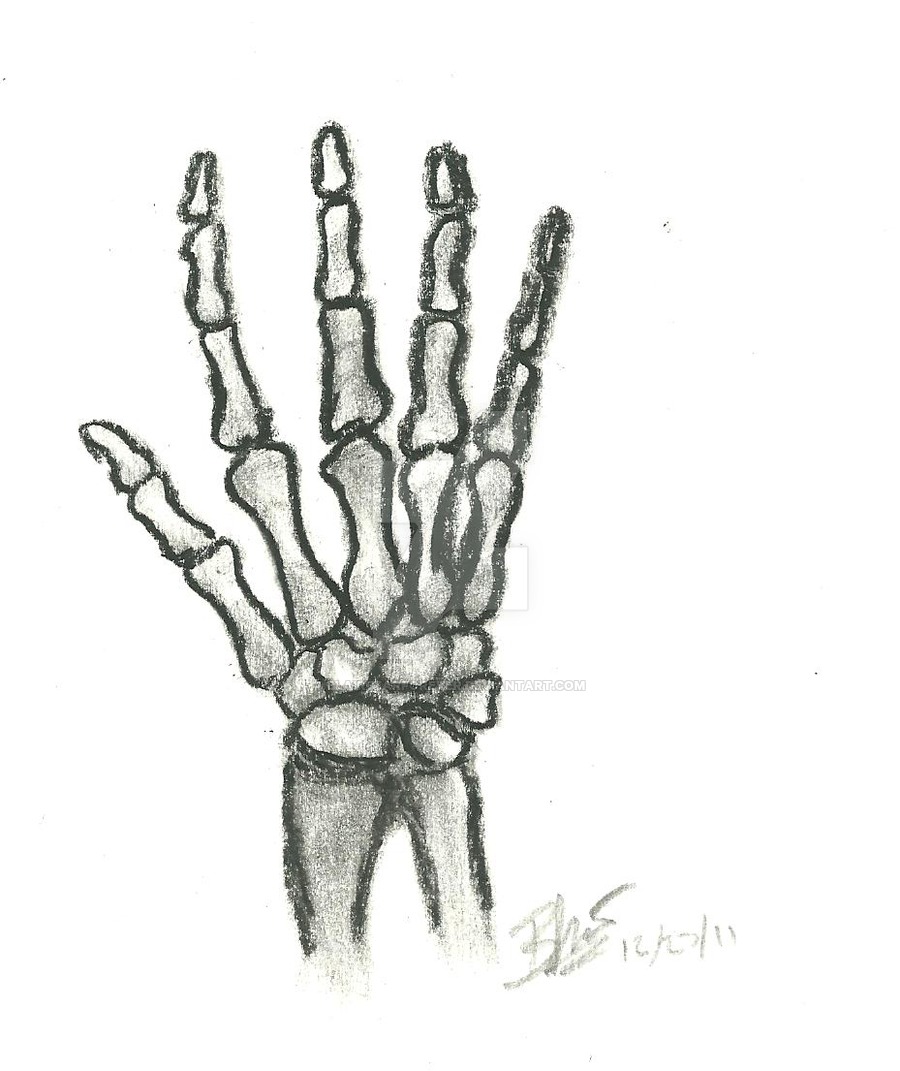 900x1071 Skeleton Hand Sketch - Drawing Of A Skeleton Hand