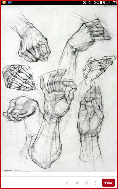 400x640 Hand Drawing - Drawing Of A Skeleton Hand