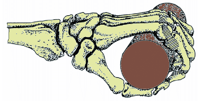 826x422 Drawing Of The Skeleton Of A Small Hand, Characterized - Drawing Of A Skeleton Hand