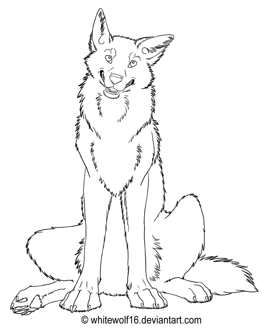 Drawing Of A Wolf Sitting at Explore collection of