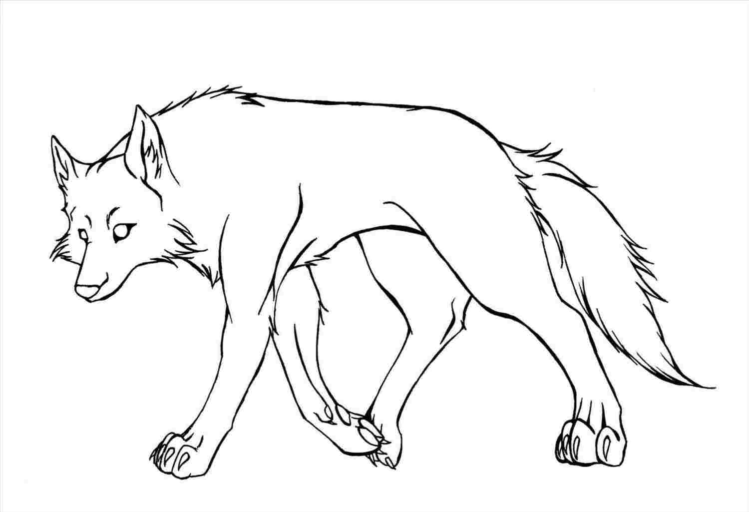 Drawing Of A Wolf Sitting at Explore collection of