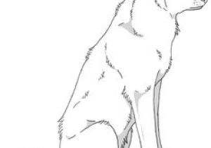 300x210 Drawing Of A Wolf Sitting Best Wolf Drawings Images Drawing - Drawing Of A Wolf Sitting