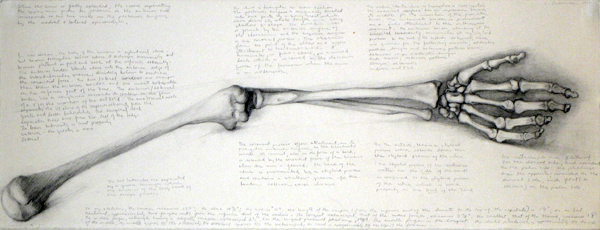 600x230 Drawing Basics Understanding Anatomy Of The Arm - Drawing Of An Arm