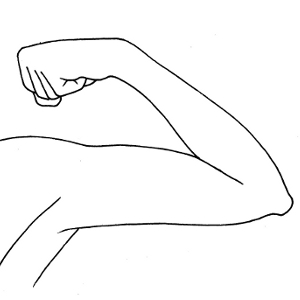 300x300 Drawing The Figure - Drawing Of An Arm