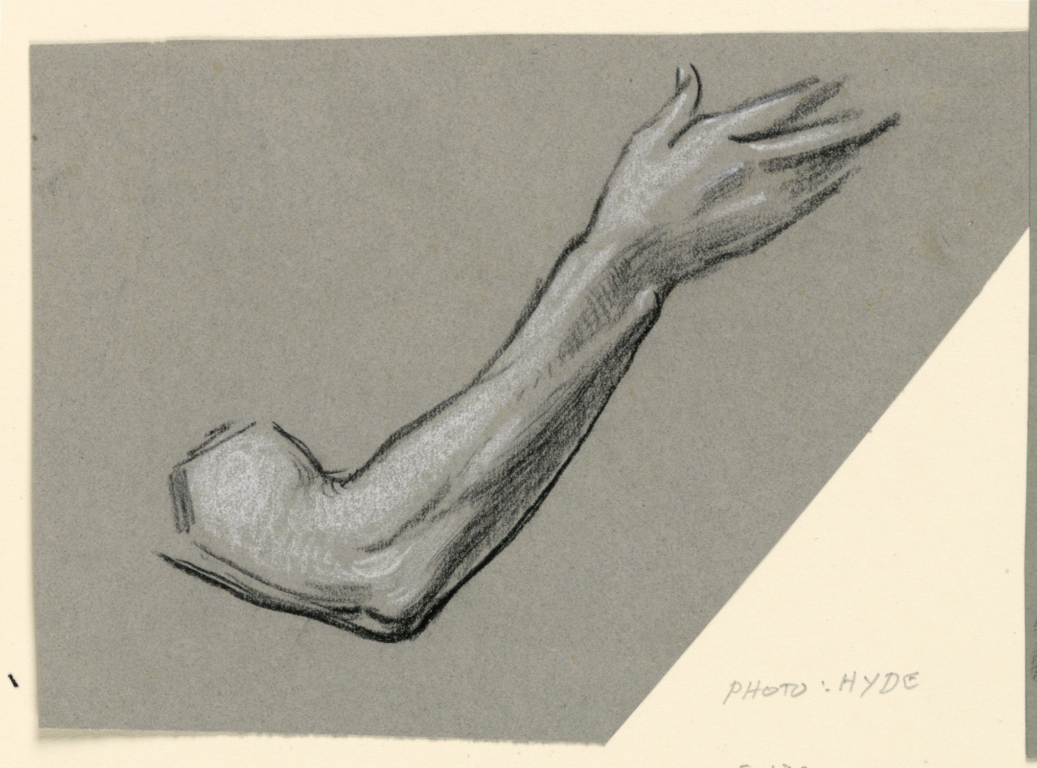 2029x1503 Filedrawing, Detail Of An Arm, Ca - Drawing Of An Arm
