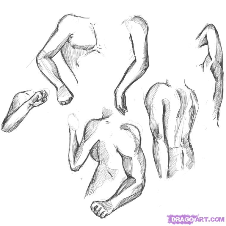 760x760 How To Draw Arms, Step - Drawing Of An Arm