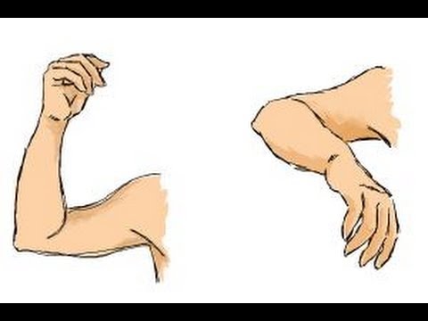 480x360 How To Draw Arms - Drawing Of An Arm